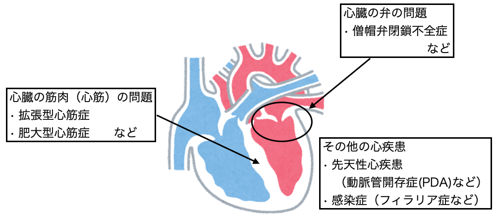 心臓病とは