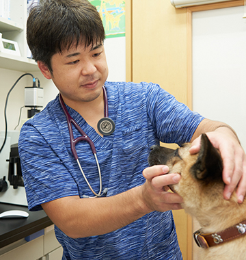 獣医師出勤表